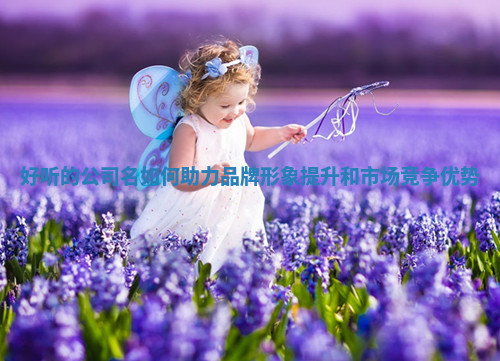 好听的公司名如何助力品牌形象提升和市场竞争优势