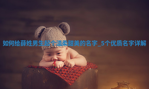 薛姓温柔甜美的男生名字