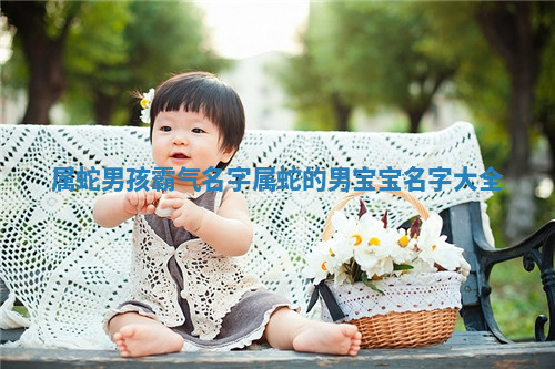 属蛇男孩霸气名字 属蛇的男宝宝名字大全