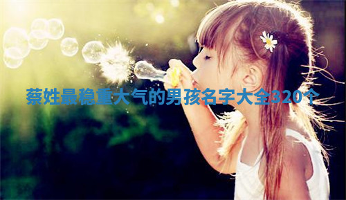 蔡姓最稳重大气的男孩名字大全（320个）