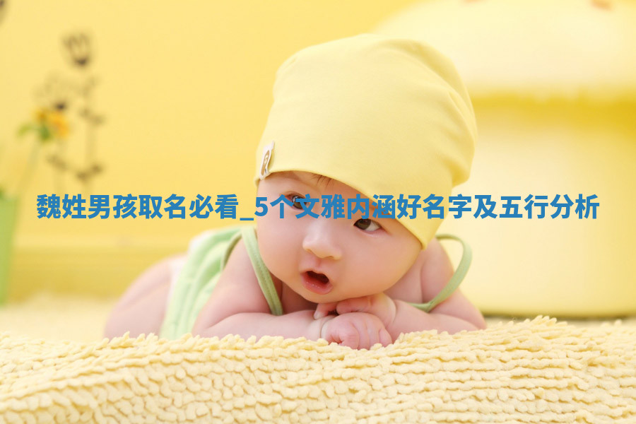 魏姓文雅内涵的男孩名字